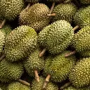 AdobeStock_270734057_1__1_-840x840.webp