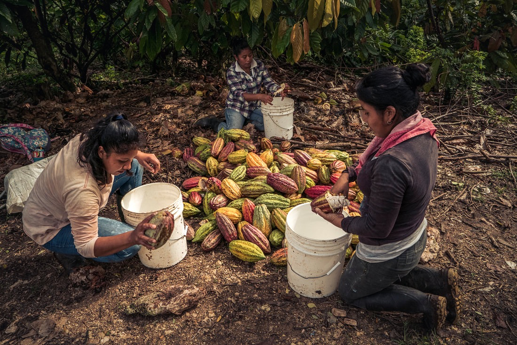 Ceremonial Grade 100% cacao special; Guatemala by Heinde&Verre (200 gr)