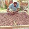 pure chocolate puur 84 procent jamaica