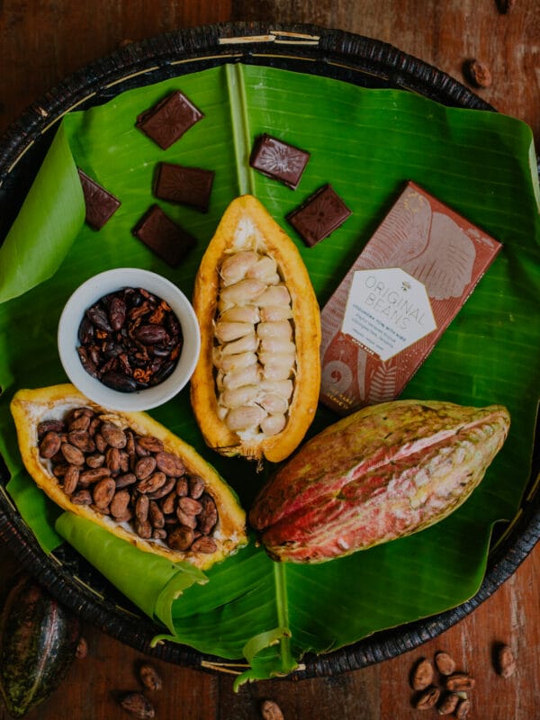 Ethisch en duurzaam geteelde cacao: de kracht van bean-to-bar, single origin en craft chocolate